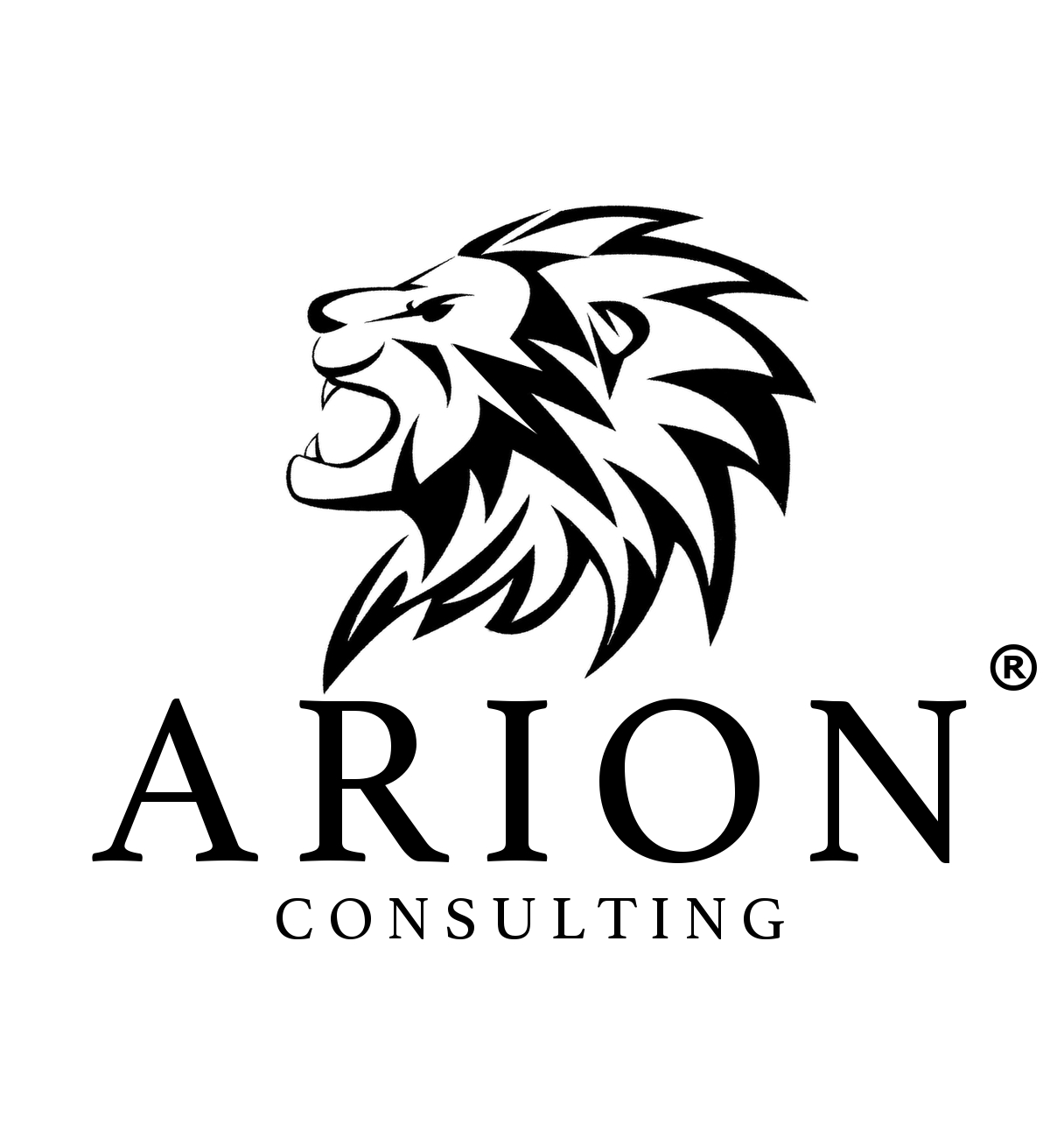 Arion Consulting 